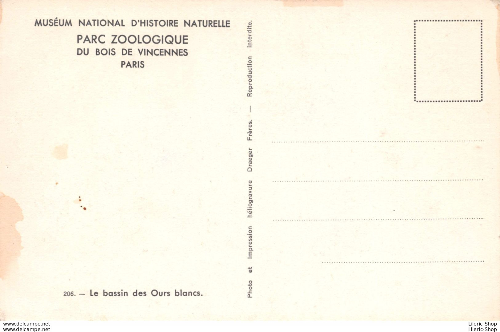 PARC ZOOLOGIQUE DU BOIS DE VINCENNES PARIS  - Le Bassin Des Ours Blancs. CPSM ±1950 ♦♦♦ - Ours