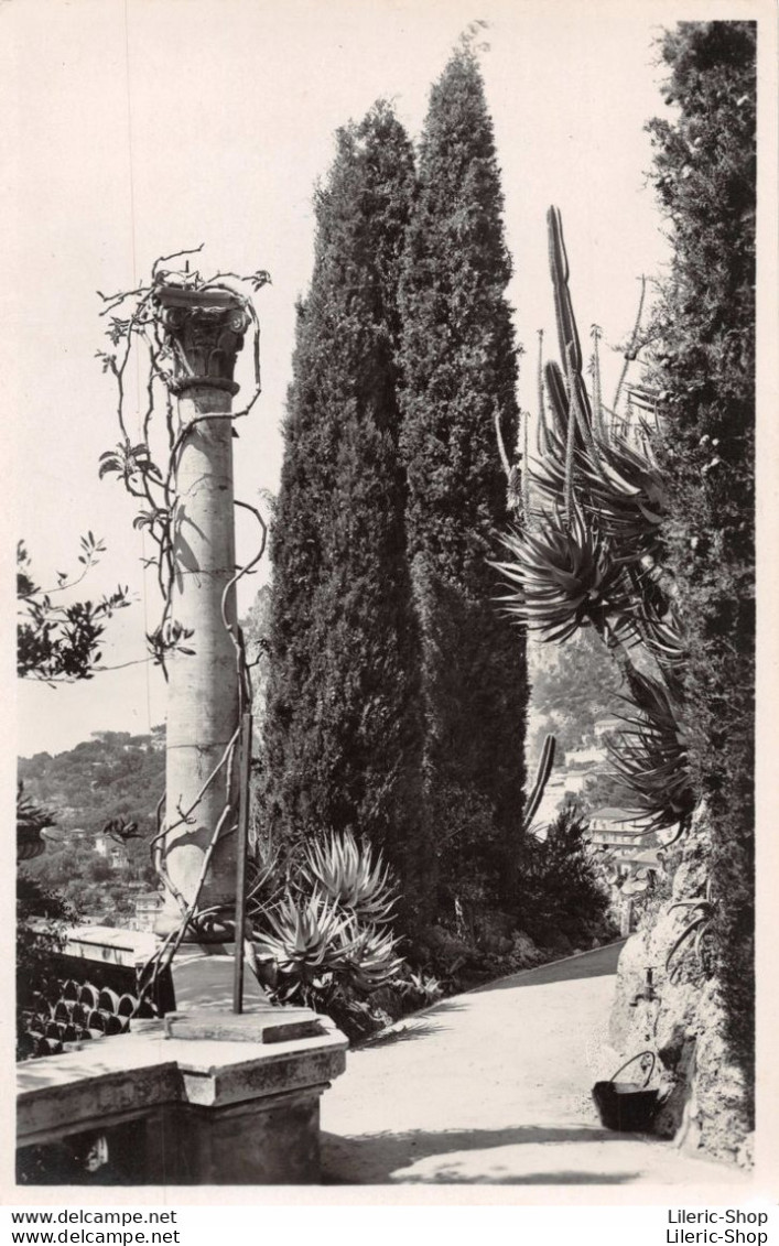 Monaco > Les Jardins Exotiques Cpsm 1957  ♦♦♦ - Jardin Exotique