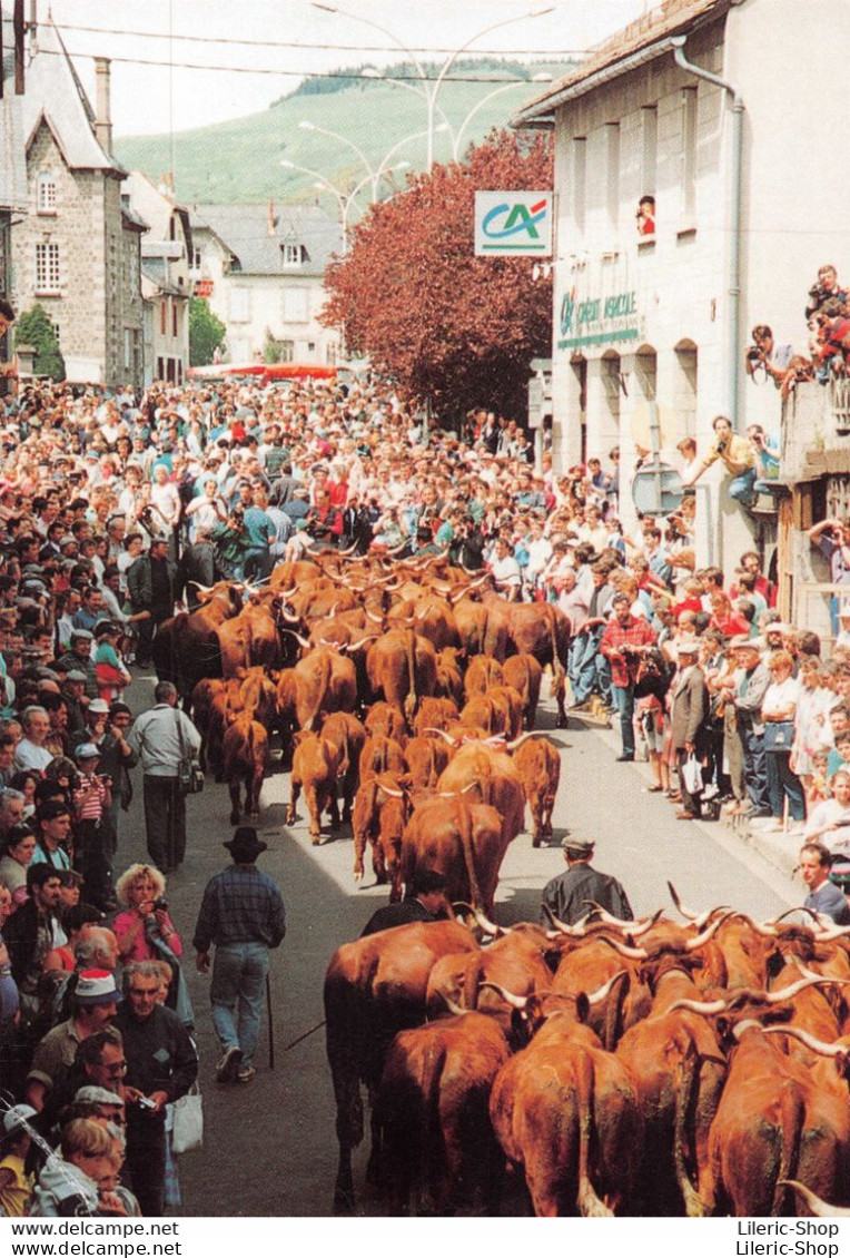 [15]  Allanche - Fête De L'Estive # Vaches # Crédit Agricole CPM ♥♥♥ - Allanche