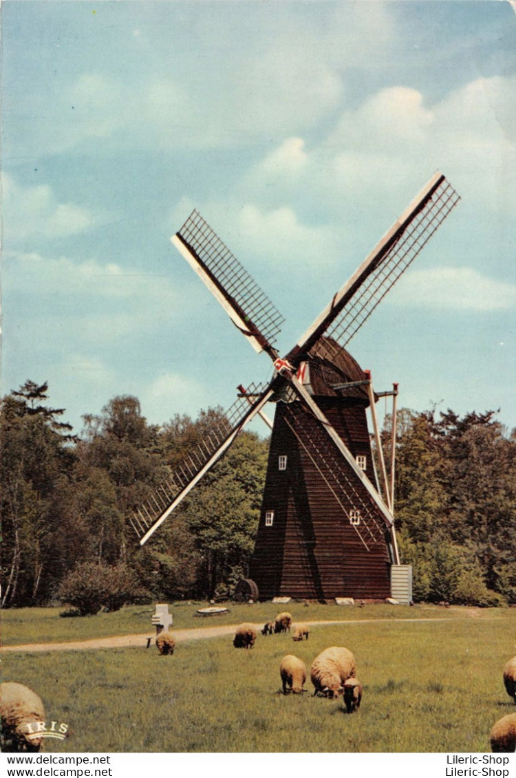 PROVINCIEDOMEIN BOKRIJK OPENLUCHTMUSEUM Houten Achtkantige Bovenkruier Uit Schulen, 18. Eeuw - Cpsm GF 1972 ♥♥♥ - Other & Unclassified