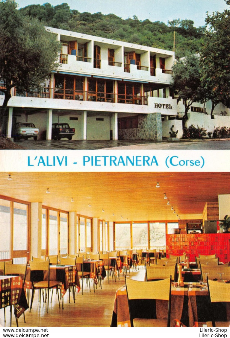 [20] [2B]  PIETRANERA - Hôtel-Restaurant  " L'Alivi " Automobiles 204 Peugeot Et Fiat Cpm ±1975 ♥♥♥ - Altri & Non Classificati