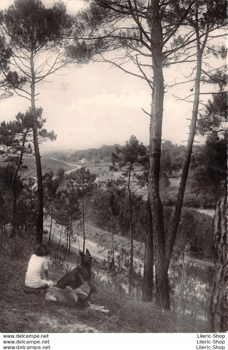 [85] SION-SUR-L'OCÉAN - A TRAVERS LA FORÊT DE PINS - ÉDIT. F. CHAPEAU Cpsm 1948 ♦♦♦ - Sonstige & Ohne Zuordnung