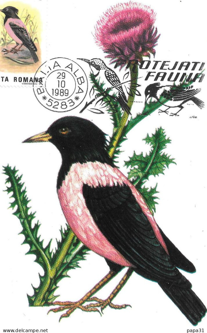 Lacustarul - Étourneau Roselin Avec Le Timbre - Oiseaux