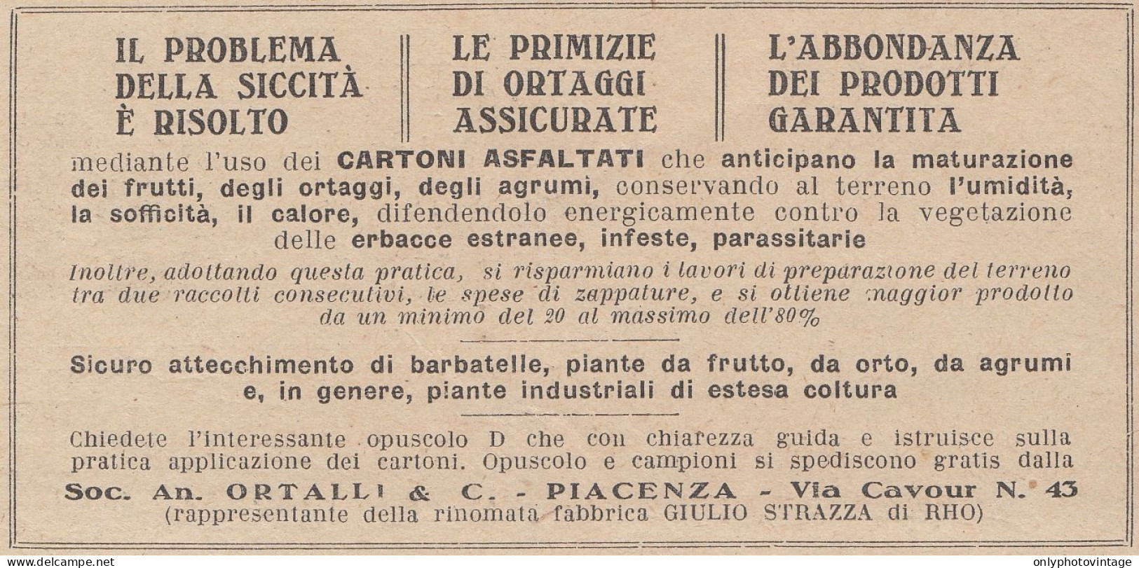Soc. An. ORTALLI & C. - Piacenza - 1930 Pubblicità - Vintage Advertising - Advertising