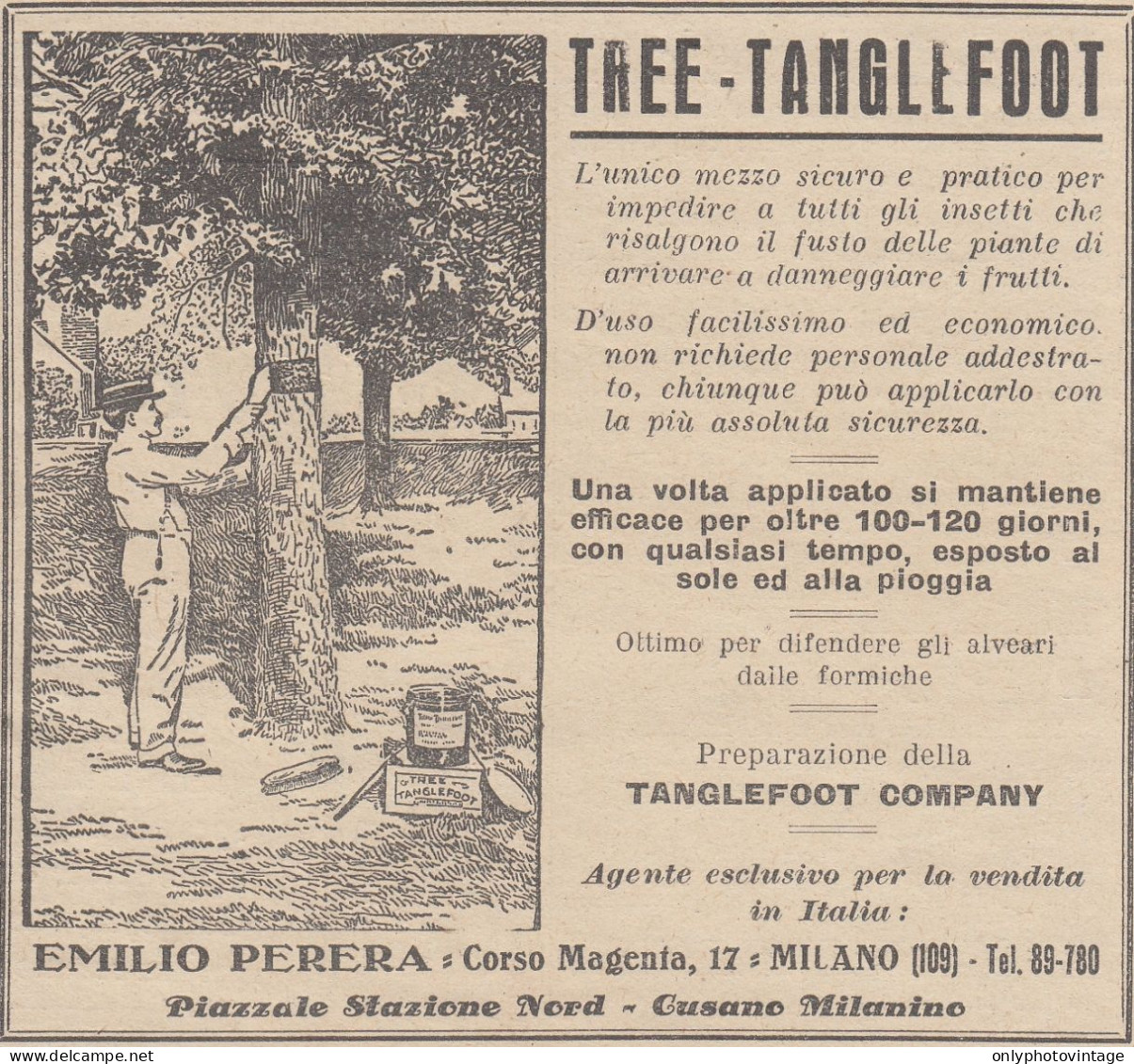 V2693 Insetticida Tree Tanglefoot - Emilio Perera - 1930 Pubblicità - Vintage Ad - Publicités