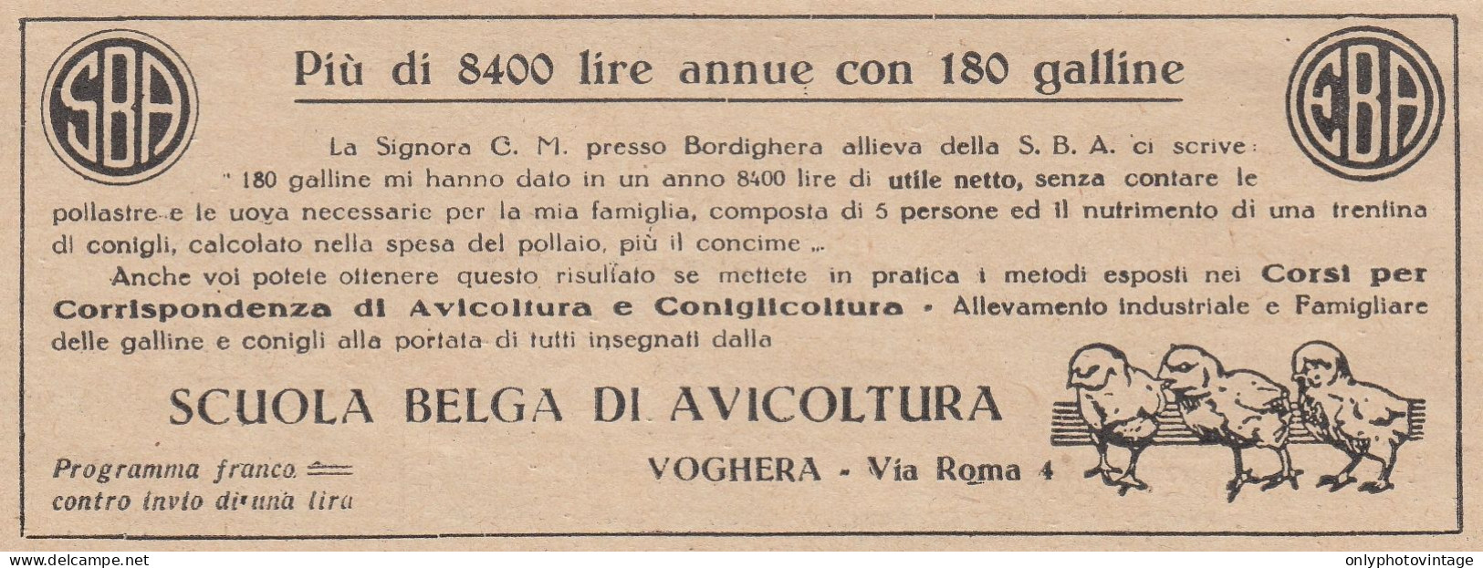 Scuola Belga Di Avicoltura - Voghera - 1931 Pubblicità Epoca - Vintage Ad - Advertising