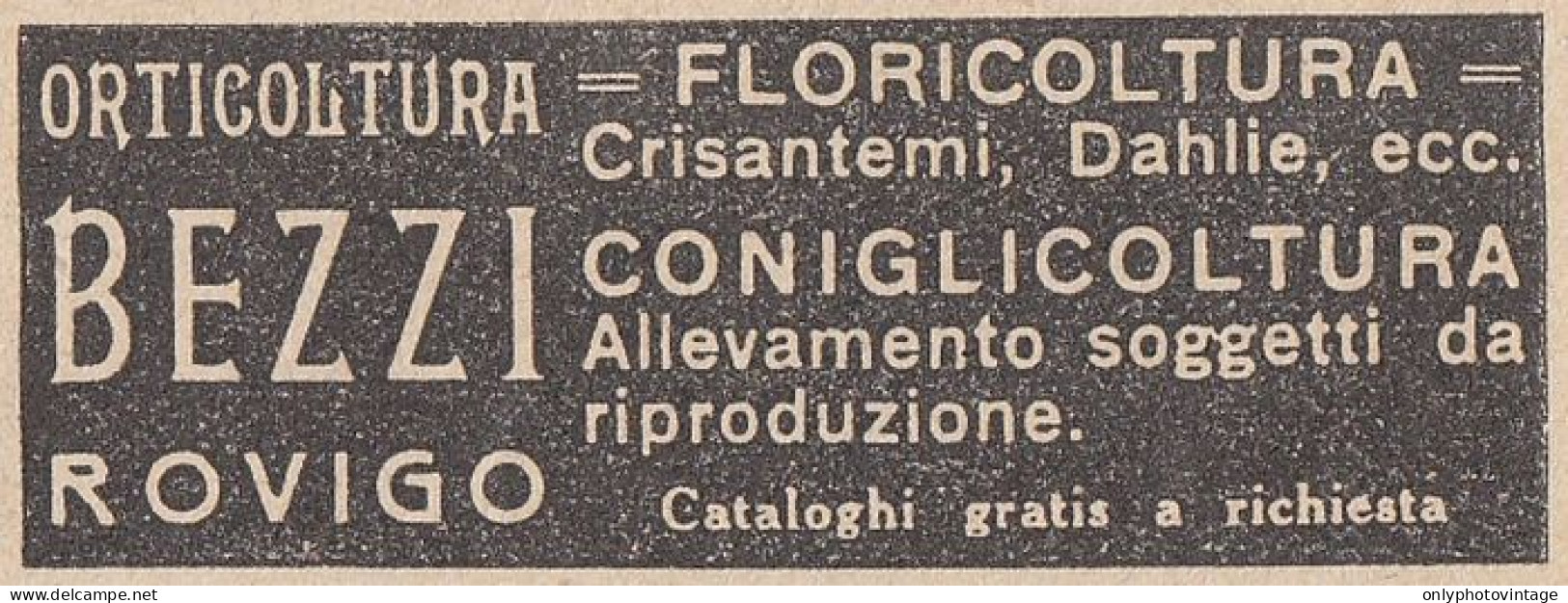 Orticoltura BEZZI - Rovigo - 1931 Pubblicità Epoca - Vintage Advertising - Reclame