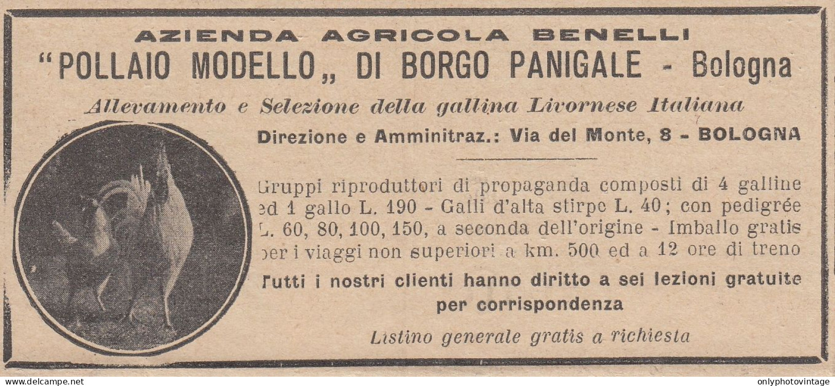 Azienda Agricola Benelli - Pollaio Moderno Borgo Panigale 1931 Pubblicità - Reclame