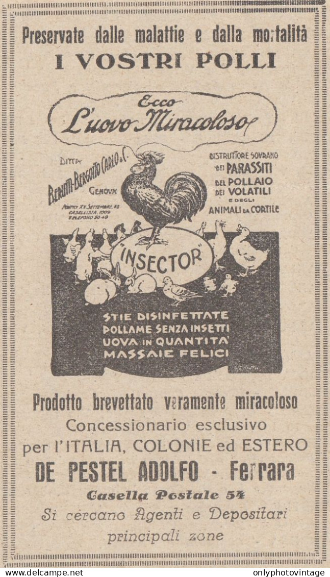 Berutti Bergotto Carlo & C. Genova - L'uovo Miracoloso - 1928 Pubblicità  - Publicités