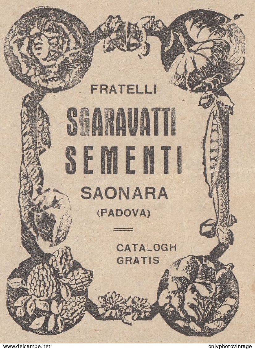 Fratelli Sgravatti Sementi - Saonara (PD) - 1927 Pubblicità - Vintage Ad - Werbung