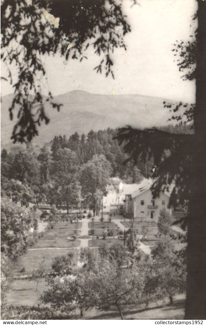 SANGEORZ BAI, VEDERE, PARC, ARHITECTURA, ROMANIA, POSTCARD - Rumänien