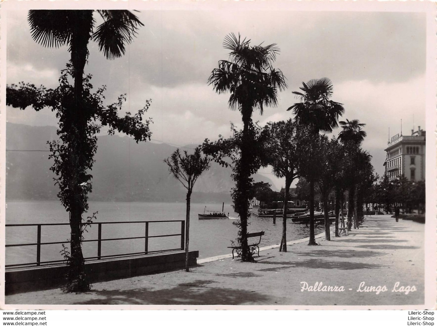 ITALIA-PIEMONTE-VERBANIA►PALLANRA-LUNGO LAGO-FOTOSTAMPA REGGIORI - LAVENO - CPSM ± 1950 ♣♣♣ - Verbania