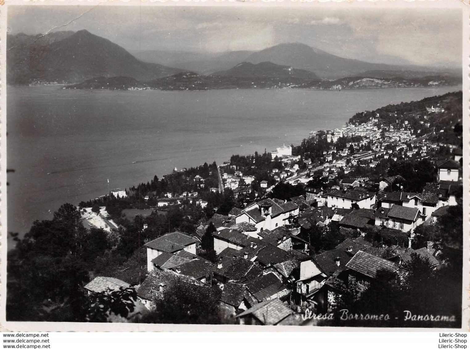 ITALIA►PIEMONTE►SALUTI DA STRESA BORROMEO -PANORAMA -FOTOSTAMPA LAVENO M. - CPM ♣♣♣ - Verbania