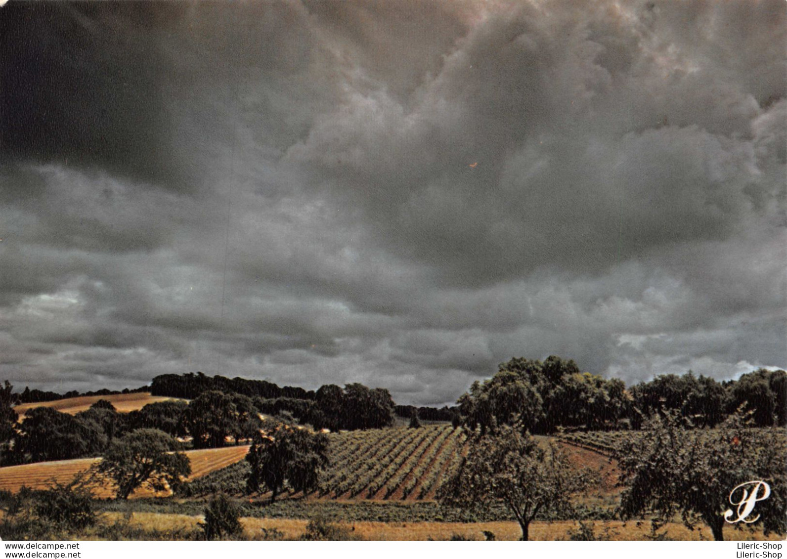 [32] Dans La Douce Quiétude De La Campagne Gersoise, Les Vignobles D'Armagnac  Cpm ± 1980 ♦♦♦ - Sonstige & Ohne Zuordnung