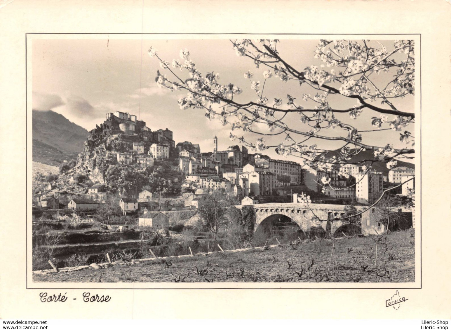 [20] [2B] Haute Corse > Corte - LA CORSE, ILE DE BEAUTÉ   Cpsm ± 1960 ♥♥♥ - Corte