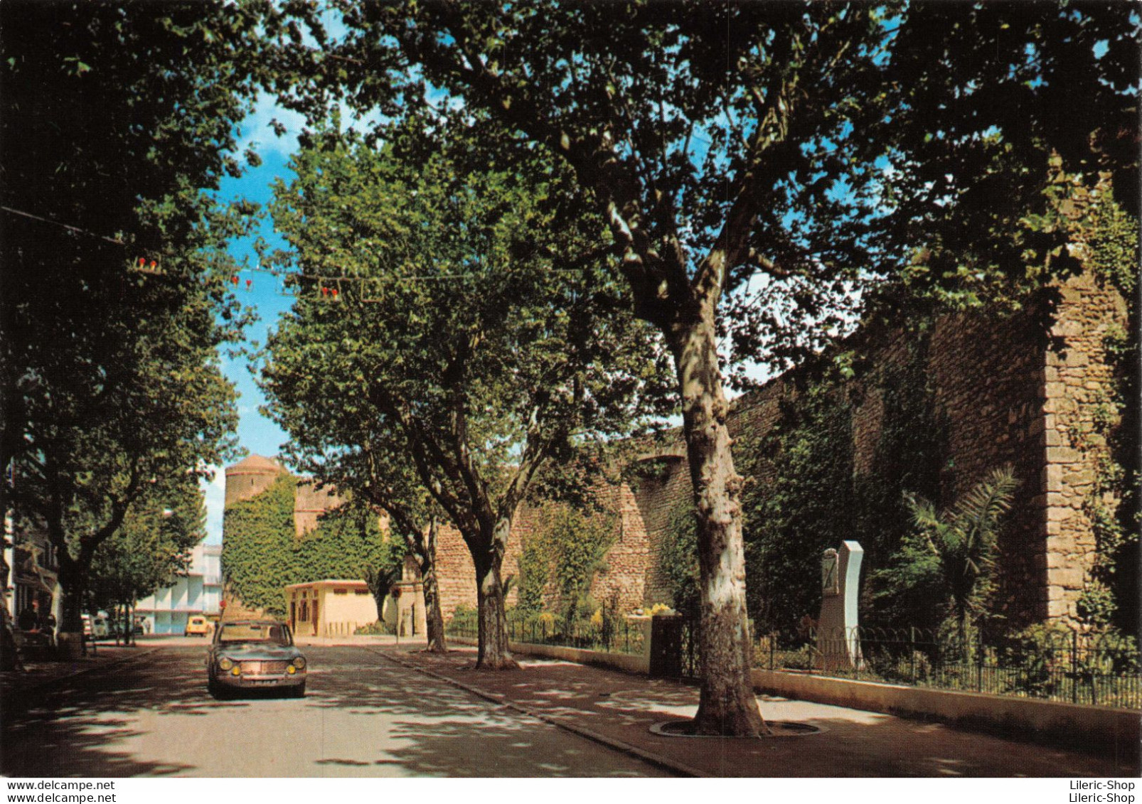 ALGERIE TLEMCEN -  Le Méchouar - Automobile Simca CPSM  ± 1970 ♥♥♥ - Tlemcen