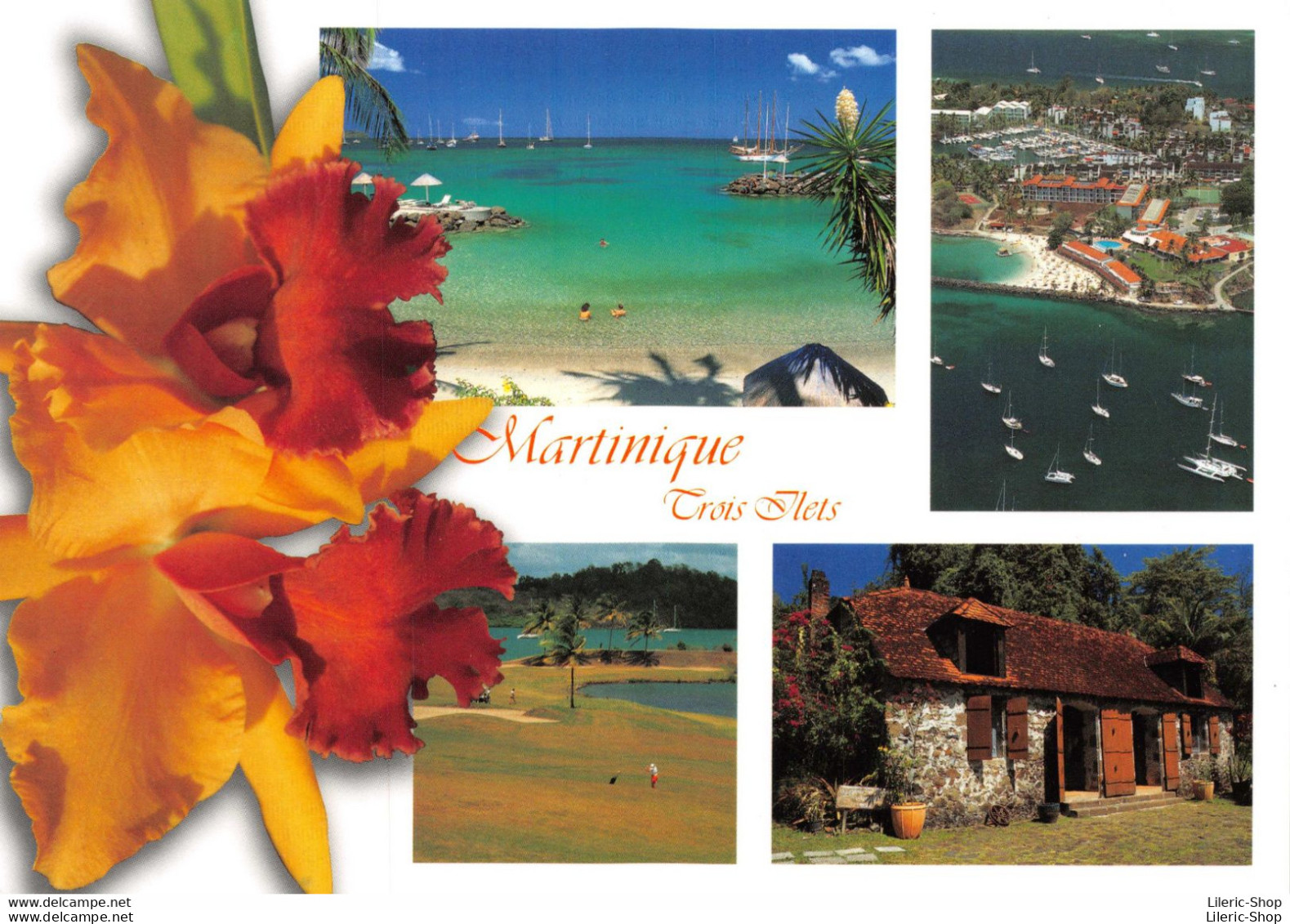 [972] Lot De 4 Cpm Vierges De La Martinique ♥♥♥ - Sonstige & Ohne Zuordnung