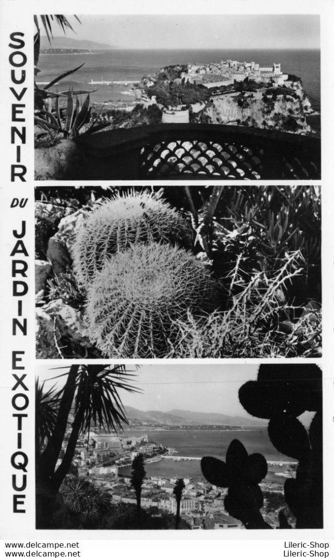 Souvenir Du JARDIN EXOTIQUE De MONACO - MULTIVUES - Cpsm ± 1950 ♥♥♥ - Exotic Garden