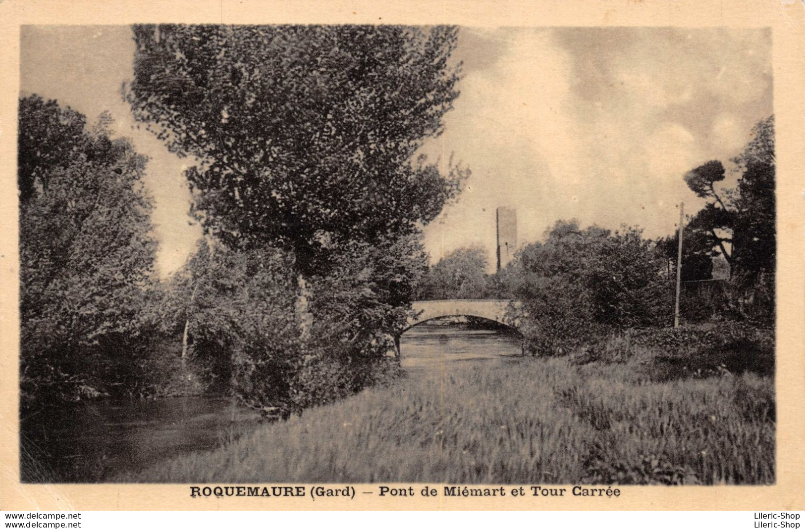 [30] ROQUEMAURE * - LE PONT DE MIEMART - Duciel Rene Et Photo Martin Edition Cpsm PF ♦♦♦ - Roquemaure