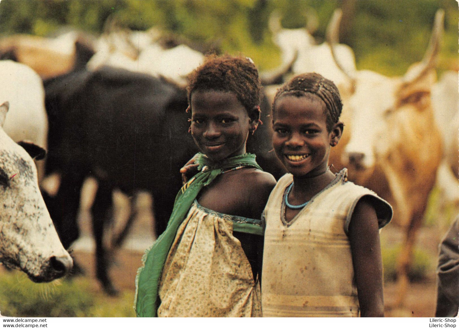 CAMEROUN - Lot de 5 cpm vierges à saisir ! ♥♥♥