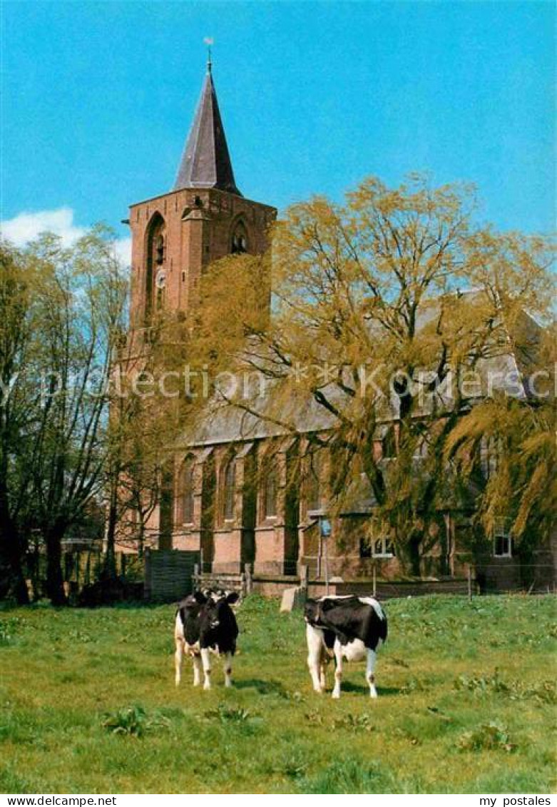 72682371 Bunschoten NH Kerk Kirche Kuehe Bunschoten - Sonstige & Ohne Zuordnung