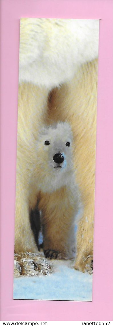 MP - Ours Blancs - Aquarupella - Bookmarks