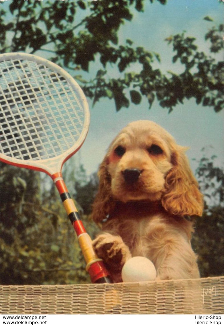 Photographe Animalier JEAN TOURANE N° 16 LES ANIMAUX DE JEAN TOURANE - Chien Humanisé Jouant Au Tennis Cpsm GF ♥♥♥ - Autres & Non Classés