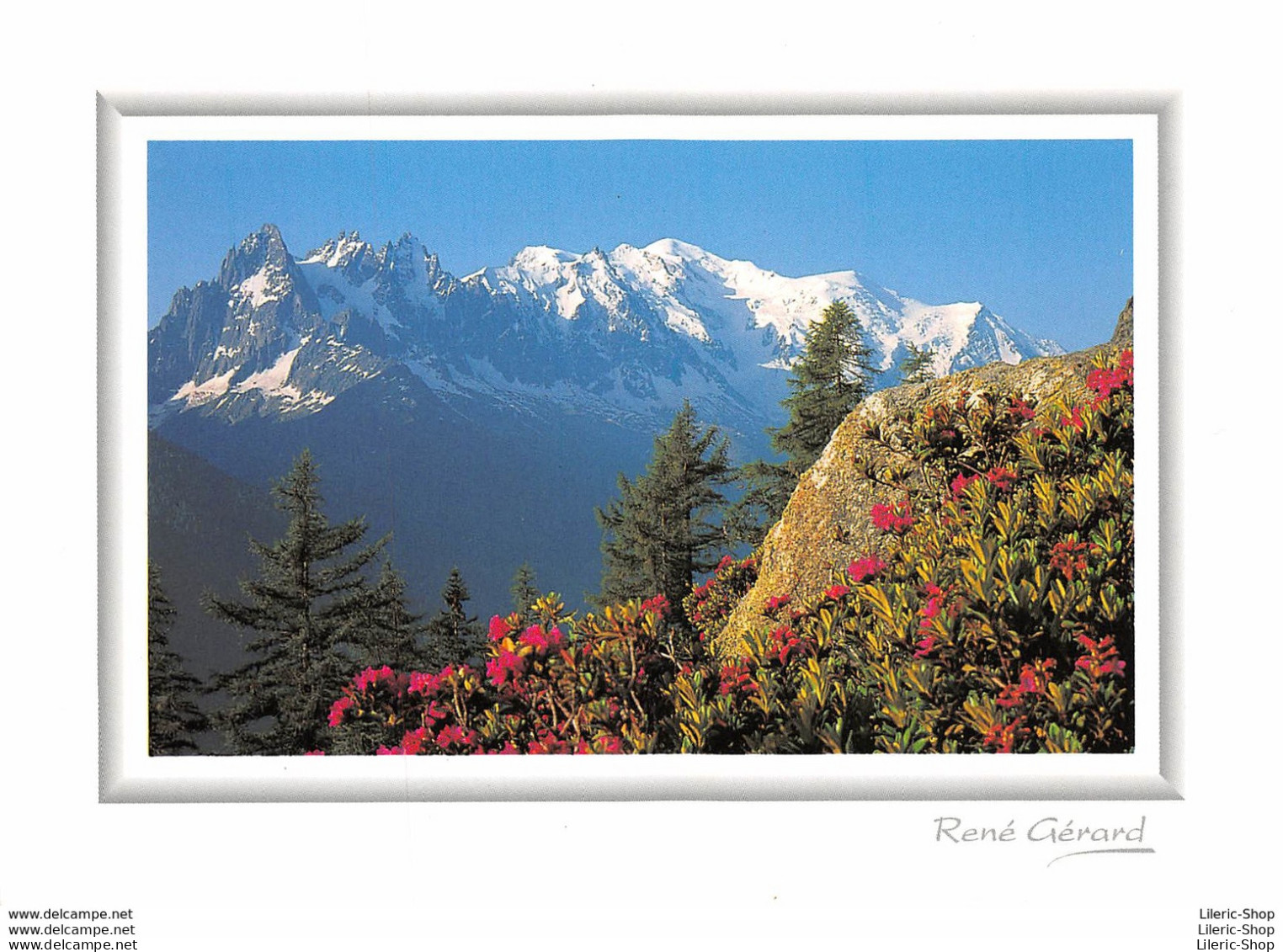 PHOTOGRAPHE RENÉ GÉRARD - IMAGE DE MONTAGNE - COULEUR DE L'ÉTÉ - ÉDIT.EDY - CPM ♥♥♥ - Sonstige & Ohne Zuordnung