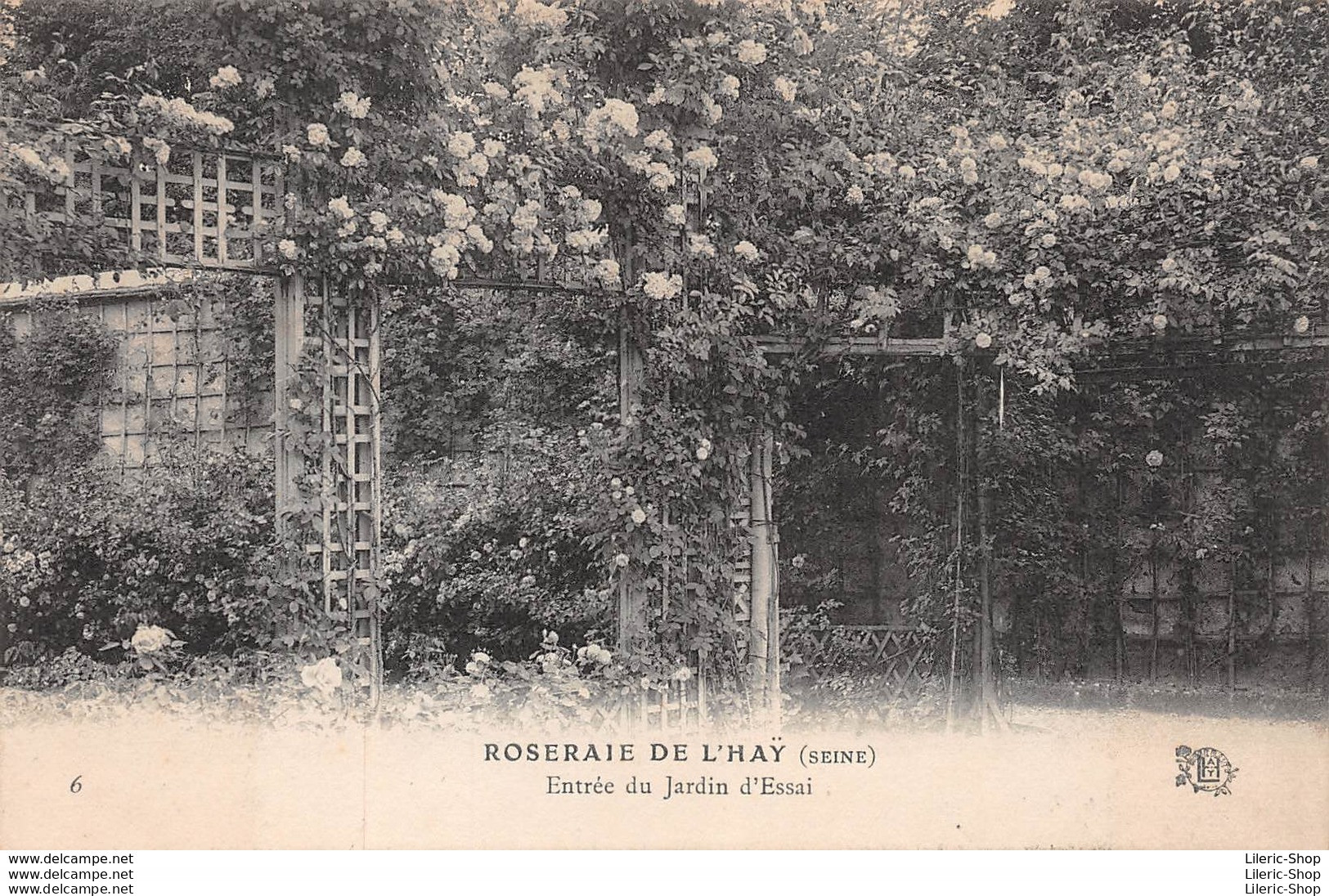 [94] L'HAY LES ROSES - ROSERAIE DE L'HAY - LOT DE 32 DIFFÉRENTES CPA ± 1910 - ÉDITION JULES GRAVEREAUX ♦♦♦