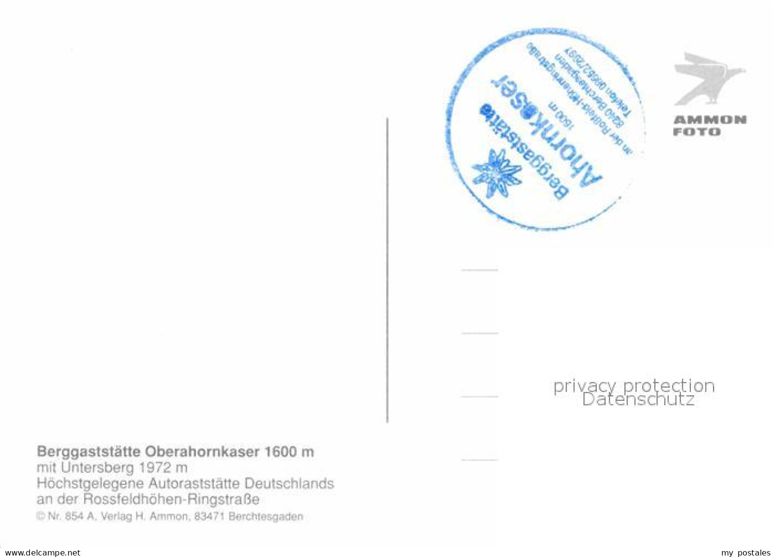 72681292 Untersberg Berggaststaette Oberahornkaser Terrasse Rinder Untersberg - Otros & Sin Clasificación
