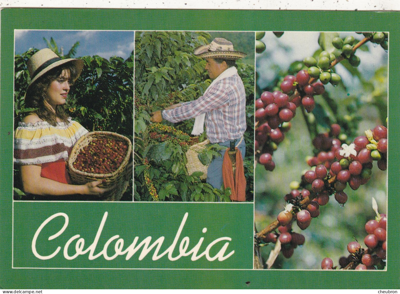 COLOMBIE. MEDELLIN (ENVOYE DE).." CAFETERA " .ANNEE 1992 + TEXTE + TIMBRE - Kolumbien