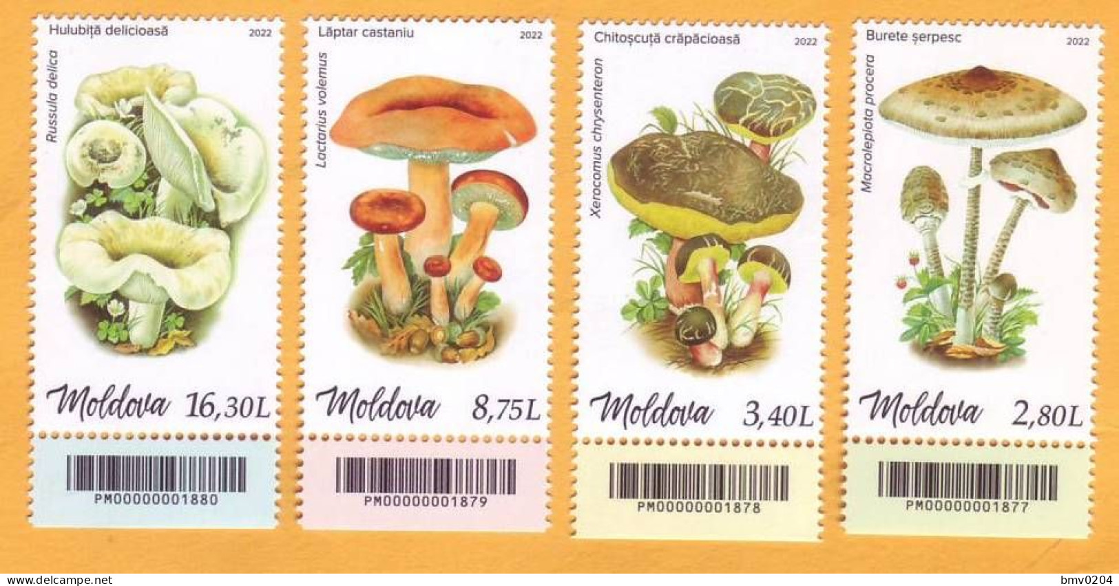 2022  Moldova Moldavie  Mushrooms, Plants, 1set (4v) Mint - Champignons