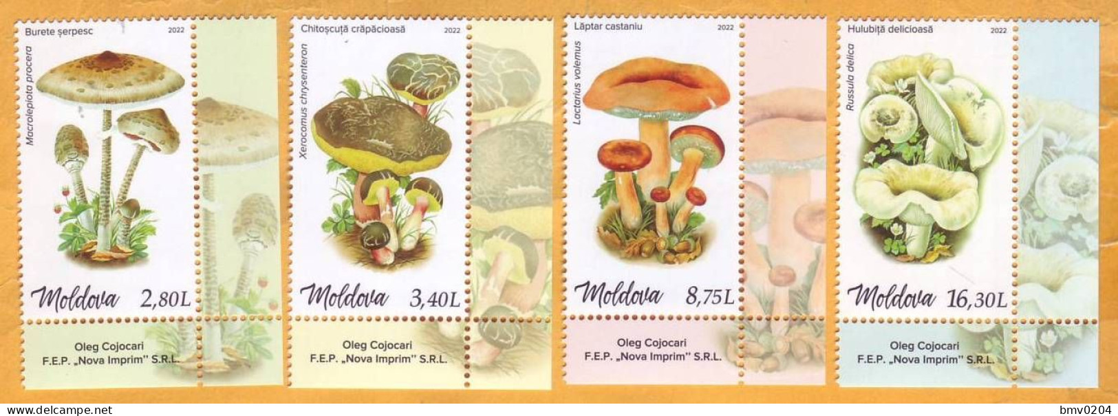 2022  Moldova Moldavie  Mushrooms, Plants, 1set (4v) Mint - Mushrooms