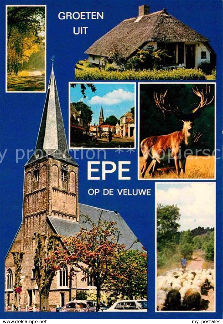 72679374 Epe Gelderland Reetgedecktes Haus Kirche Hirsch Schafherde Epe Gelderla - Sonstige & Ohne Zuordnung