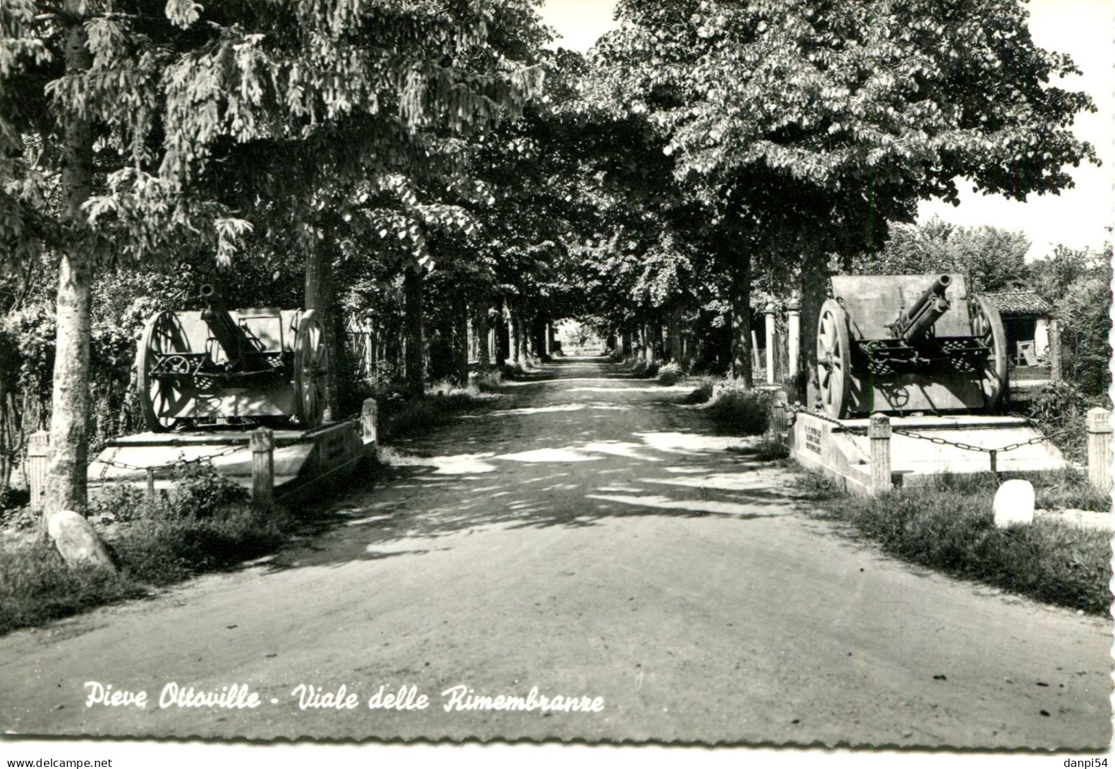 A360 - Cartolina Pieveottoville (PR) - Viale Delle Rimembranze - NON VIAGGIATA - Parma