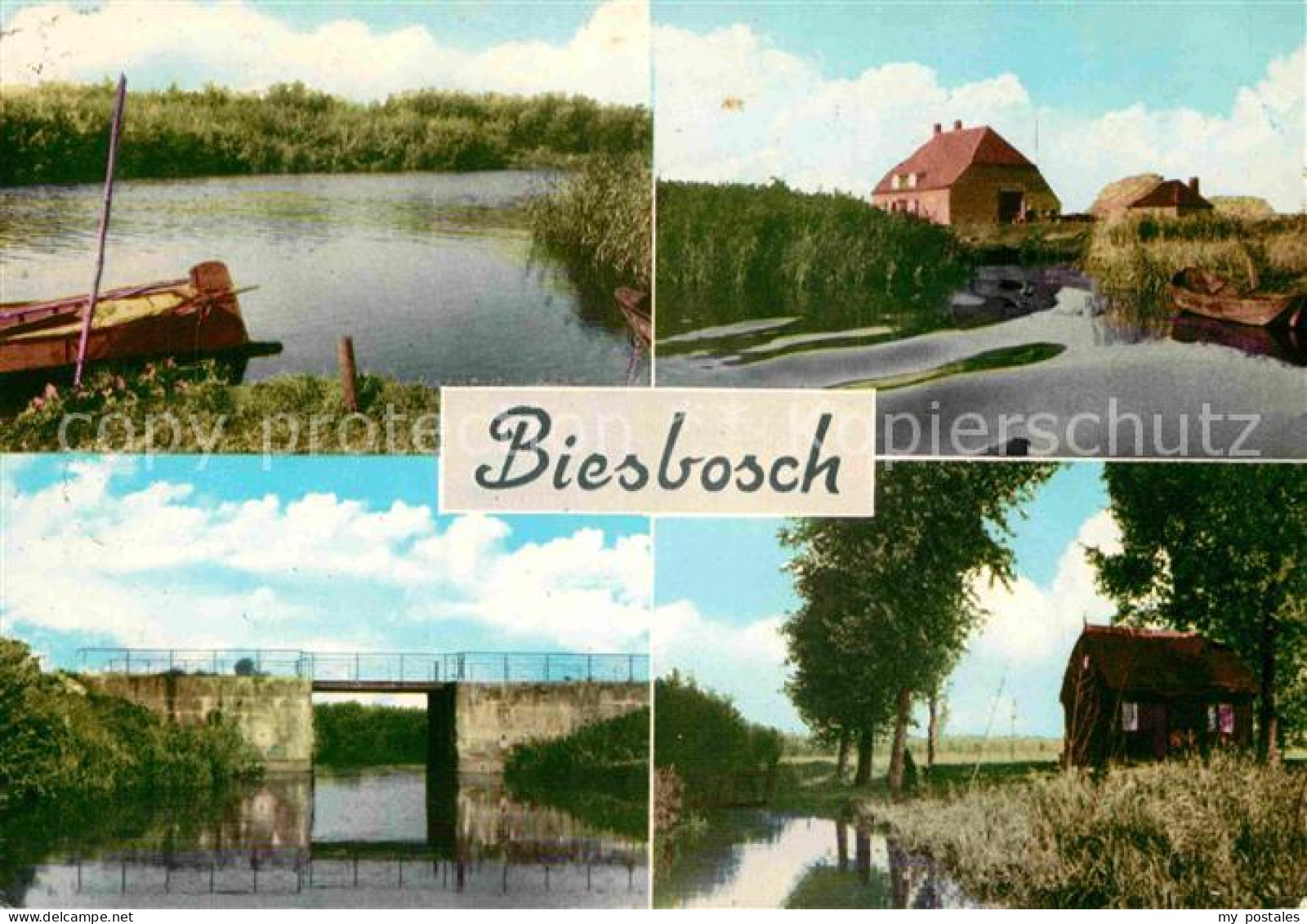 72678215 Biesbosch Teilansichten Biesbosch - Sonstige & Ohne Zuordnung