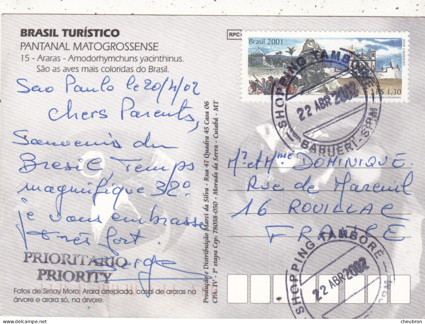 BRESIL. SAO PAULO ( ENVOYE DE) MATOGROSSENSE. PERROQUETS "ARARAS AMODORHYMCHUNS YACINTHINUS"ANNEE 2002 + TEXTE + TIMBRE - Salvador De Bahia