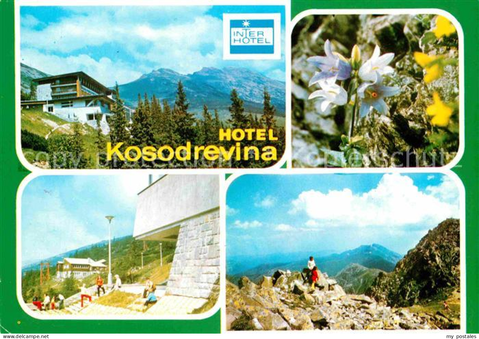72677488 Banska Bystrica Hotel Kosodrevina Niedere Tatra Gebirgspanorama Blumen  - Slovaquie