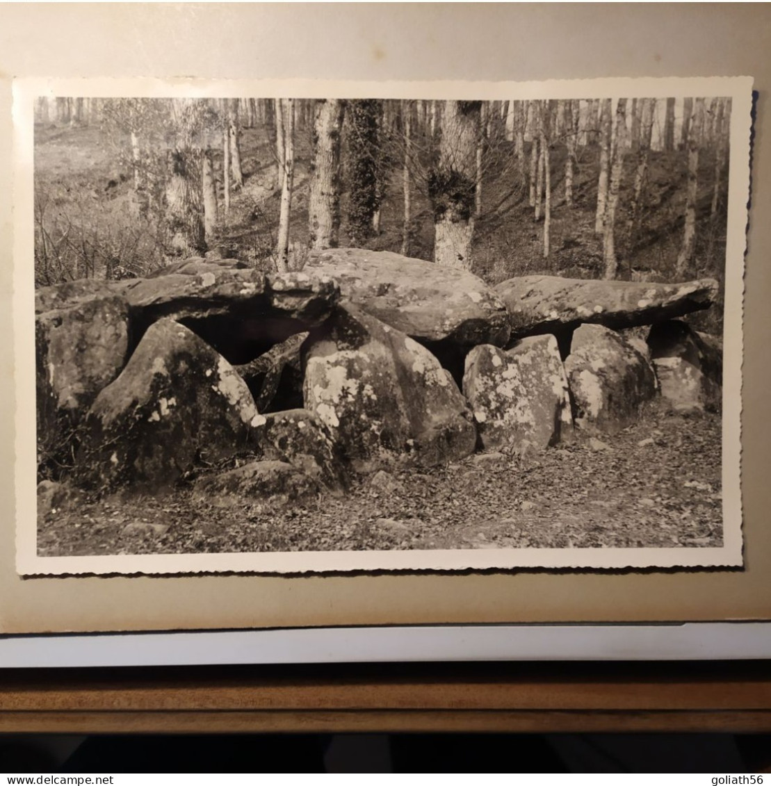 Grande Photographie Ancienne Dolmen De La Contrie Près D'Ernée - Places