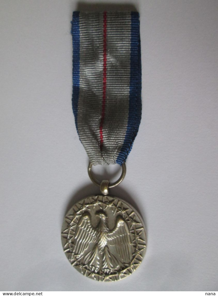 Etats-Unis Medaille:Prisonnier De Guerre/USA Medal:War Prisoner - Stati Uniti