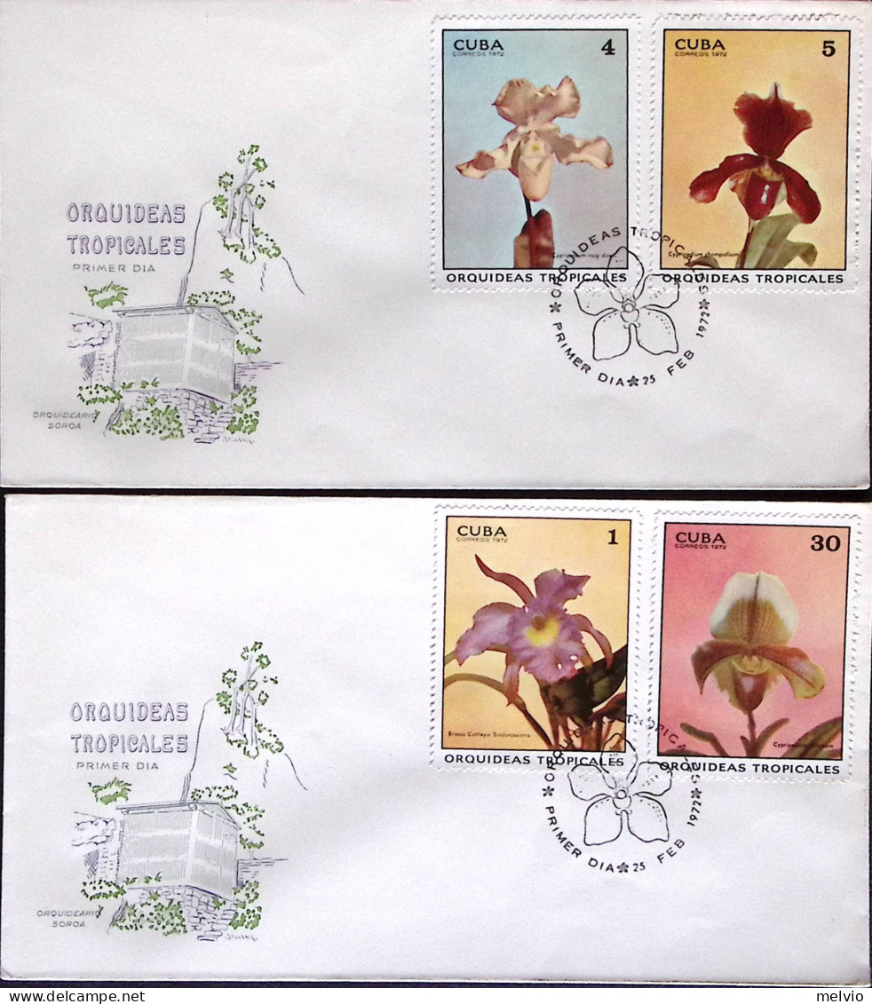 1972-Cuba Orchidee, Serie Completa, Su Quattro Fdc - Other & Unclassified