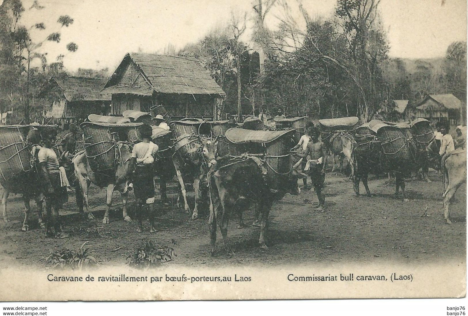 Laos - Caravane De Ravitaillement Par Boeufs-porteurs - Commissariat Bull Caravan - Laos