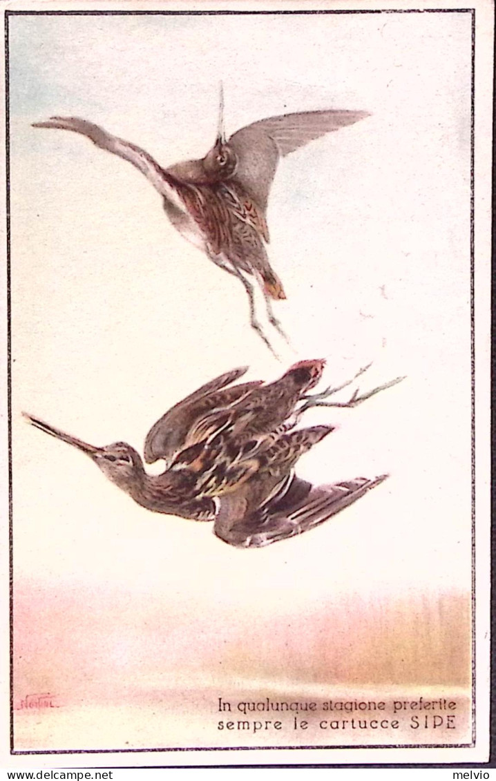 1920circa-cartolina Pubblicitaria Cartucce SIPE - Advertising