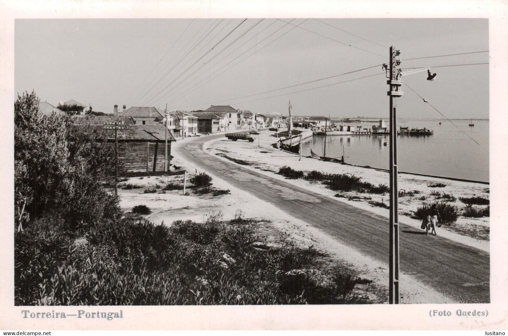 Torreira, Murtosa, ( Aveiro ) Foto Guedes, Postal Fotográfico, Portugal - Aveiro