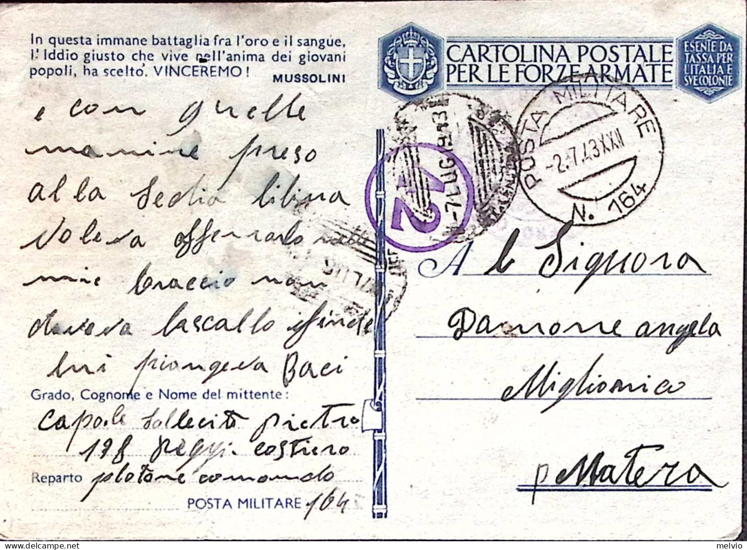 1943-Posta Militare/n.164 C.2 (2.7) Su Cartolina Franchigia, Fori Spillo - War 1939-45