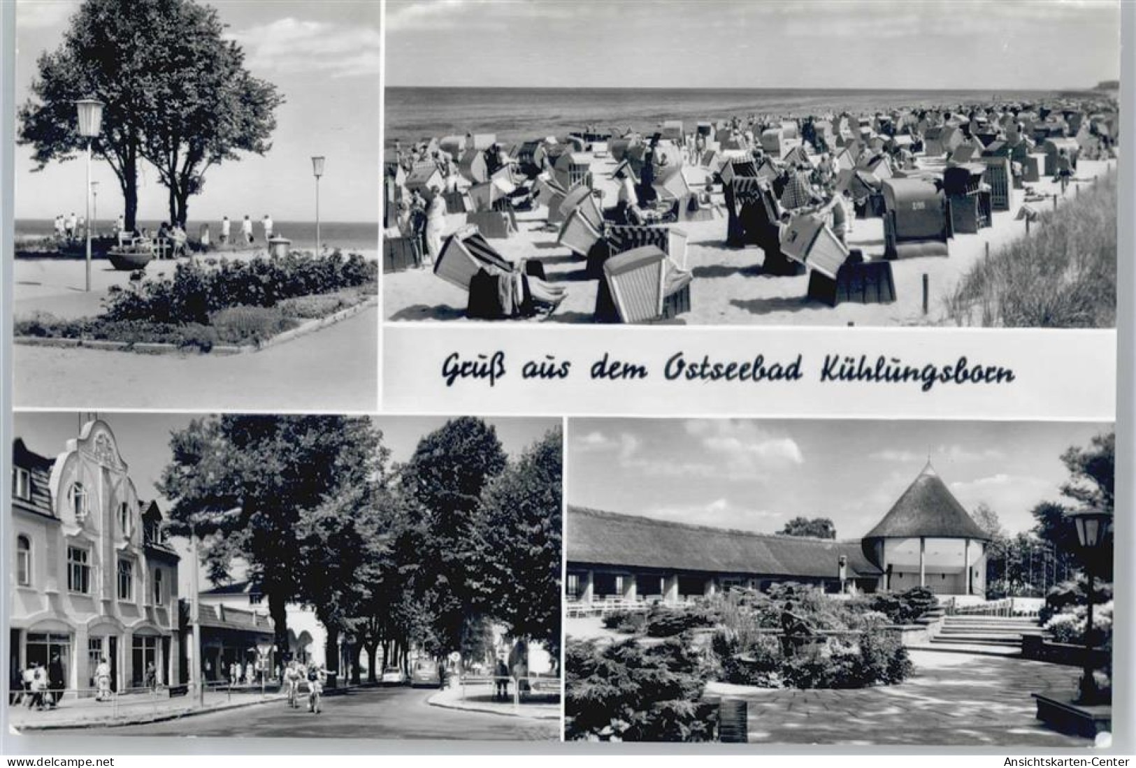 50758511 - Kuehlungsborn , Ostseebad - Kuehlungsborn