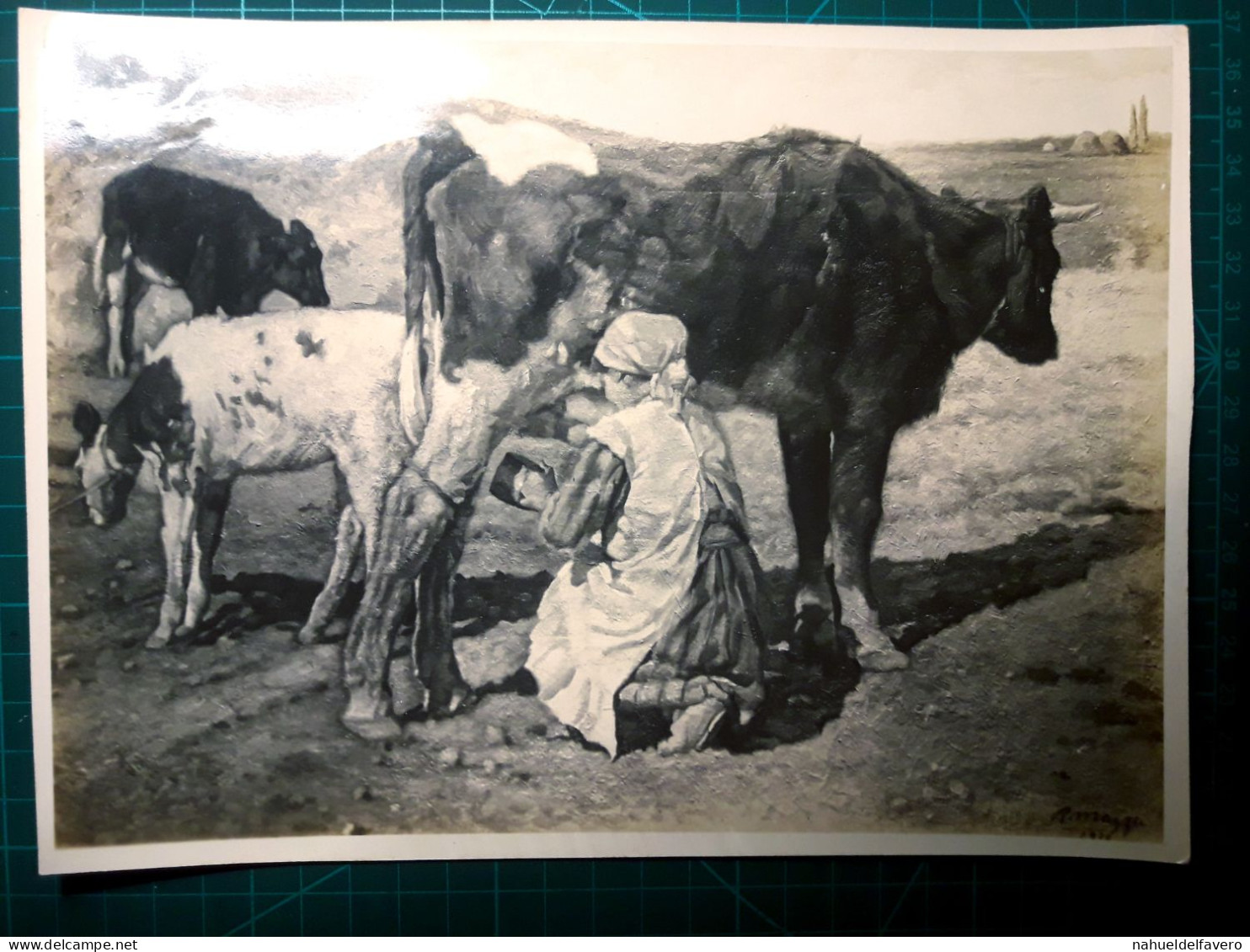 PHOTOGRAPHIE En Noir Et Blanc. (Taille 23cm. X 14cm. Environ). Oeuvre D'art (peinture, Tableau) Femme Traire Une Vache L - America
