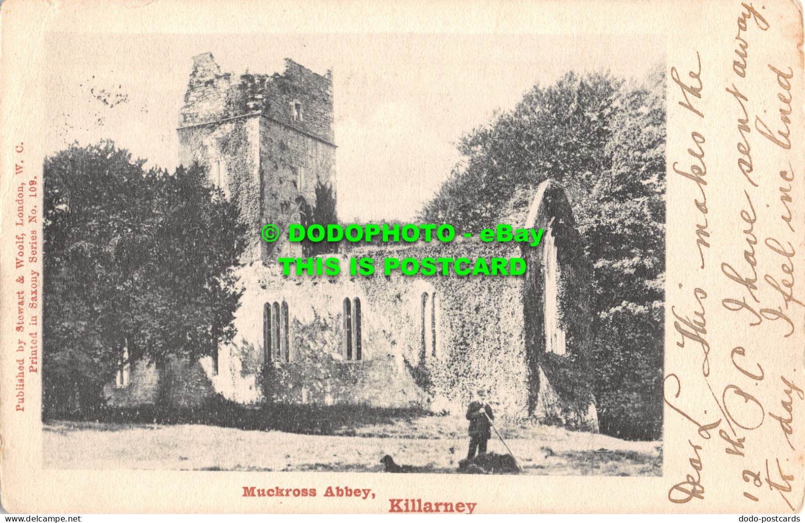 R467274 Killarney. Muckross Abbey. Stewart And Woolf. Series. No. 109 - Monde