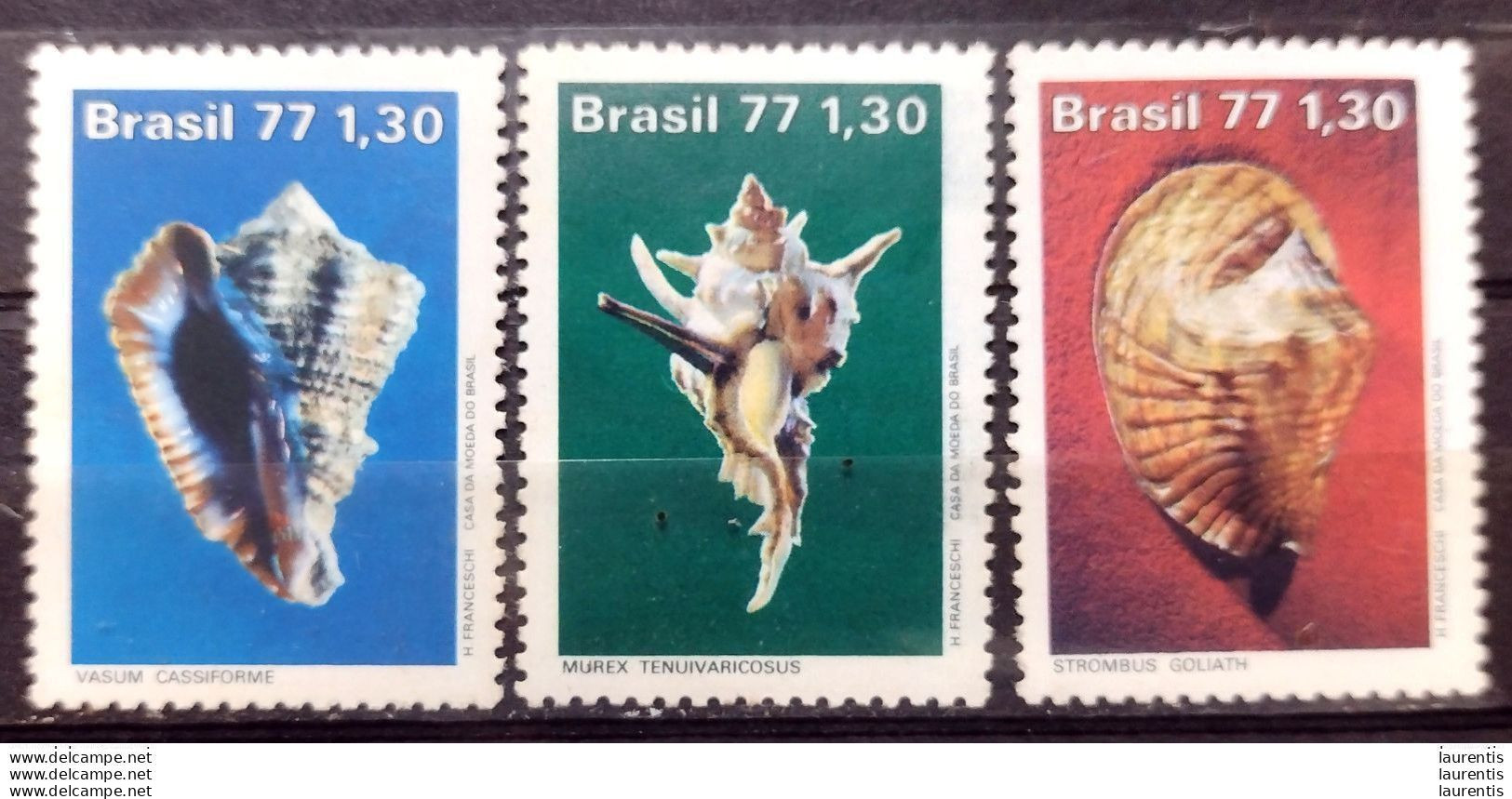 D2599  Shells - Coquillages - Brasil 1977 - MNH - 1,75 (20-270) - Coneshells