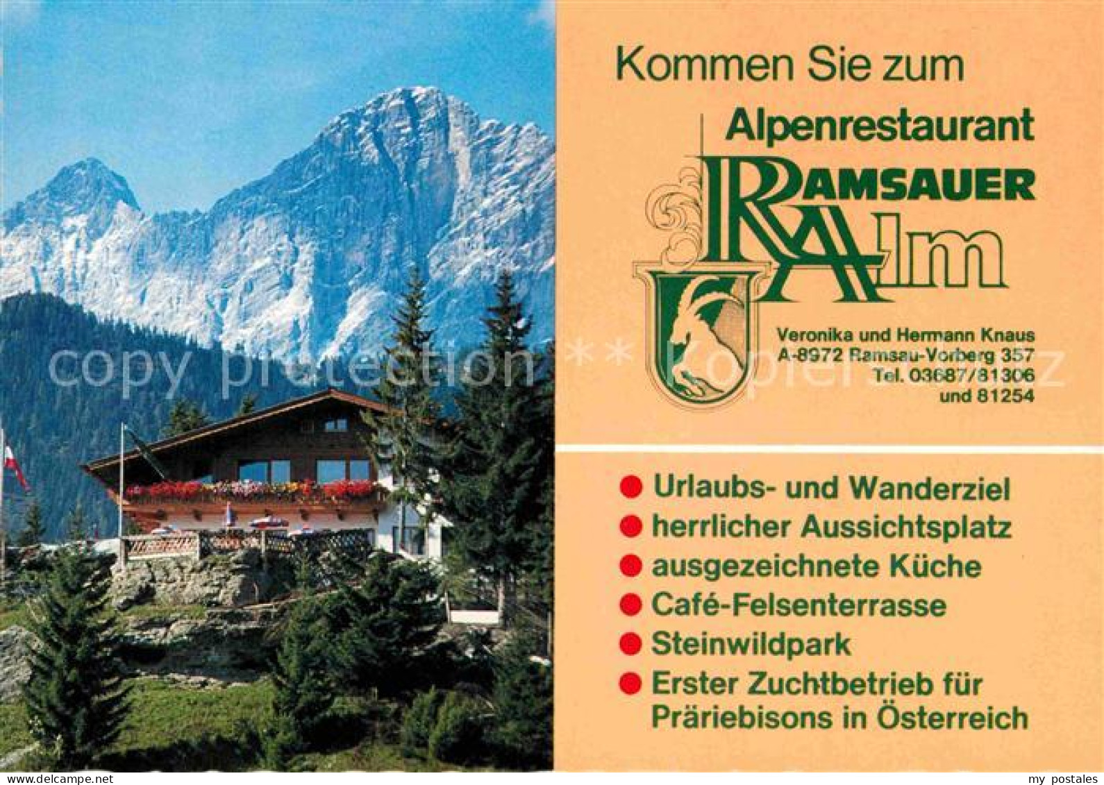 72666464 Ramsau Dachstein Steiermark Alpenrestaurant Ramsauer Alm Ramsauer Hochp - Sonstige & Ohne Zuordnung
